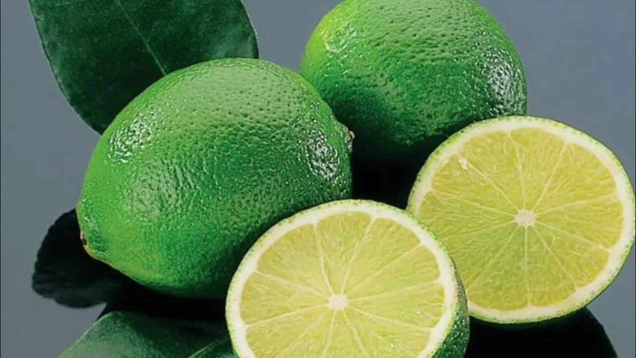 تصویر 3 از لیمو ترش سبز خوش‌ طعم و پرآب برای مصارف روزانه